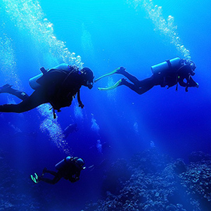 ASD Blunauta Diving Center Milazzo (SHAREWOOD) Cover