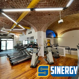 Palestra Sinergy  Cover