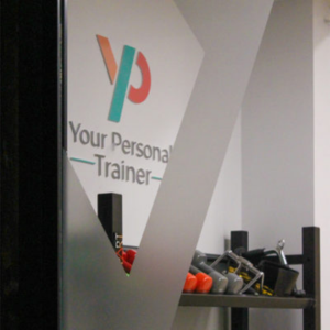 YP Trainer Balduina Cover