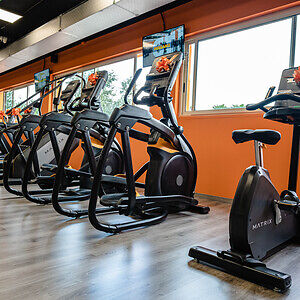 FitActive Roma Pisana Cover