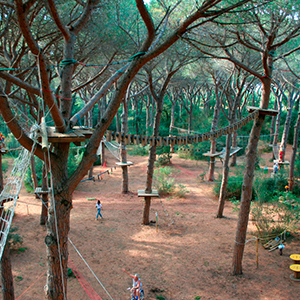 Parco Il Gigante Cover