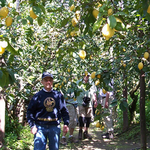 Il Giardino di Vigliano Cover