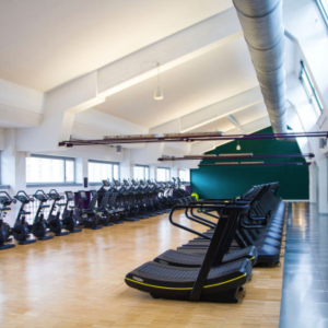 Palestre Italiane Bologna Minganti Cover