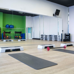 Palestre Italiane Castel Maggiore Cover