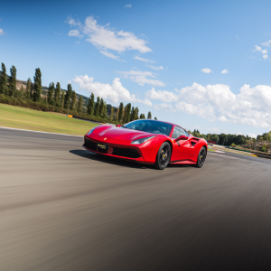 Circuito di Pomposa (FE) Cover