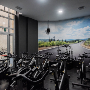 ICON Palestre Roma EUR Cover