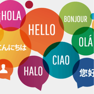 LDA LANGUAGE CENTRE Cover