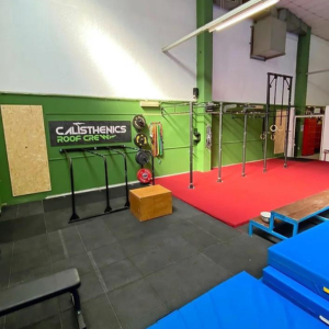 THE ROOF CALISTHENICS E STREETLIFTING MODENA Cover
