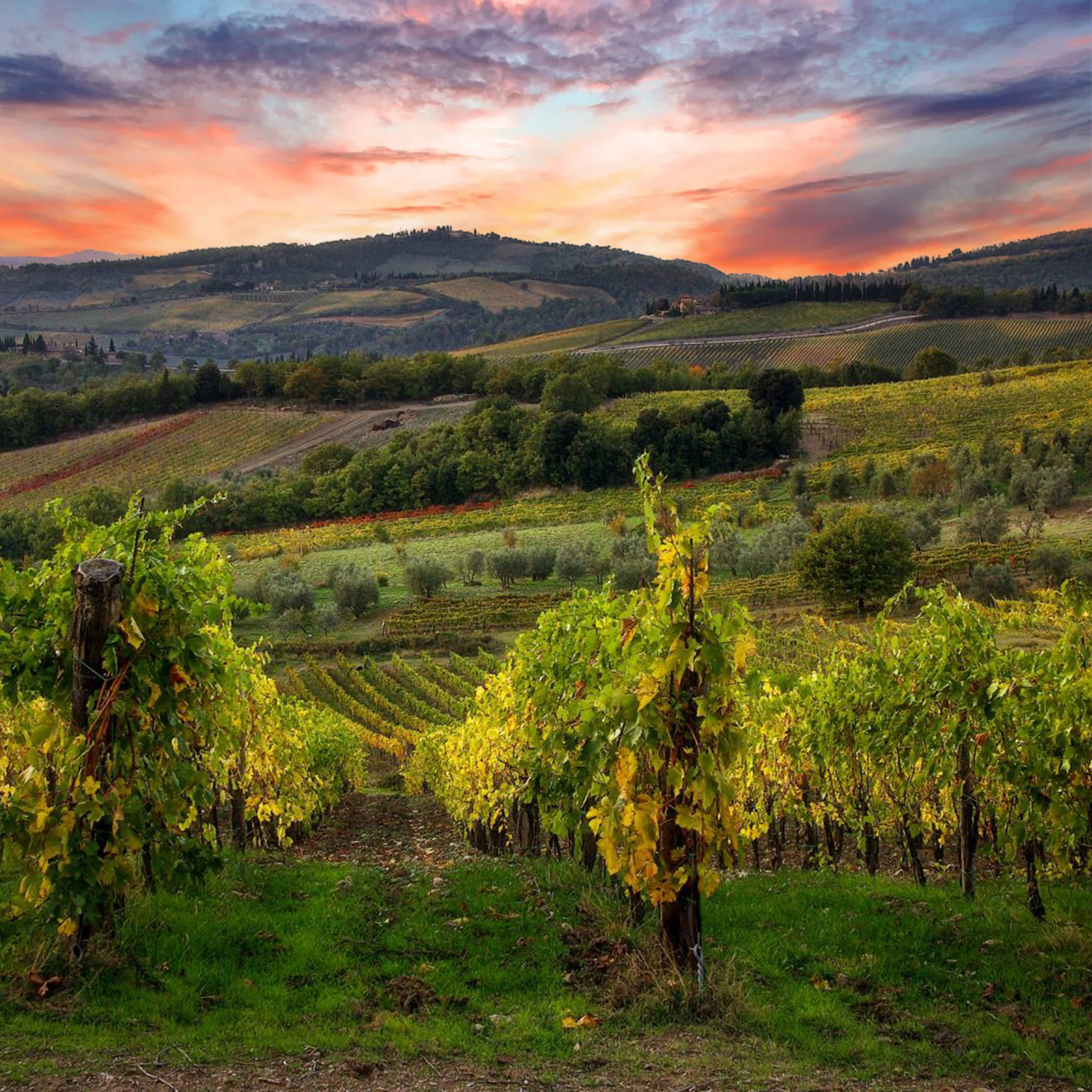 Borgunto Wine & Oil Chianti products Cover
